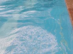 -奇缘游泳培训基地(辰茂店)