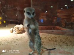 -酷嗒动物文化乐园(cutezoo西溪乐天城店)