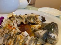 -博雅渔港·融合菜(维也纳国际大酒店)