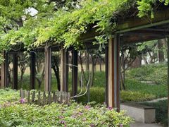 -徐家汇源景区-衡山公园