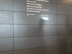 -凯夫拉维克国际机场