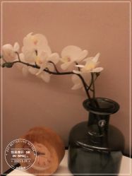 -恒美雅轩·品牌直营连锁