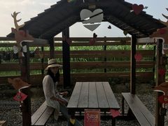 -鹿境梅花鹿生态园区
