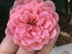 -金色艳阳天•粤菜 淮扬菜(古平岗店)