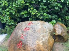 -金砂公园