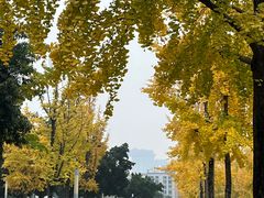 -四川大学(望江校区)