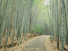 -苏州环秀晓筑养生度假村