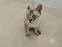 -共舞时光猫咖·狗咖(新街口店)