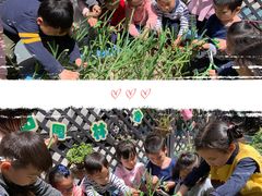 -泰宁田林幼儿园