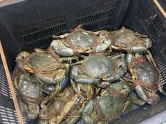 -無招牌海鮮(芽笼店)