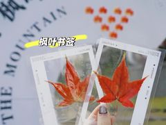 -田野绿世界
