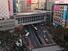 -涩谷全向十字路口