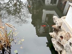-苏州冶园园林民宿(太湖西山风景区店)