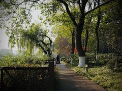 -上海市保健医疗中心