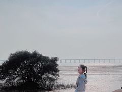 -宝安西湾红树林湿地公园