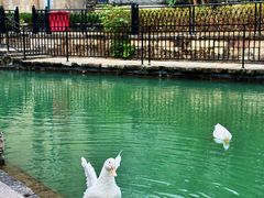 -赤坎·广东华侨国际旅游度假区