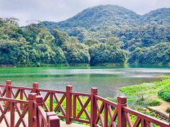 -广州市石门国家森林公园