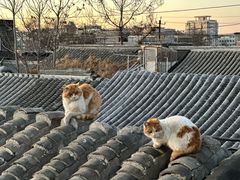 -前叁門