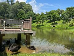 -福建鲤鱼洲酒店