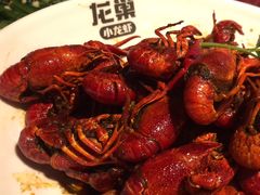 -龙巢盱眙龙虾·牛蛙·烧烤宵夜(八卦岭店)
