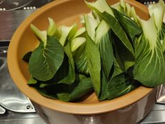 -龍歌自助小火锅(市北CBD万达店)