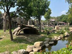 -上海野生动物园