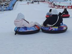 -沈阳奥体冰雪嘉年华