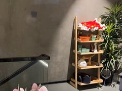 -施奈儿.洗头頭療.按摩SPA.采耳(上梅林店)