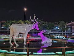 -三亚红色娘子军演艺公园景区