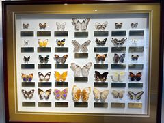 -上海昆虫博物馆