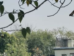 -糖房咖啡(南锣鼓巷店)