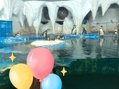 -太平洋海底世界