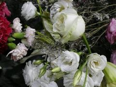 -813芭依珊 BAESAn(皇冠十畝地店)