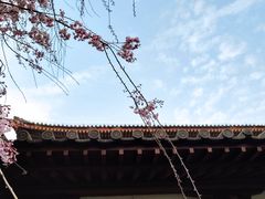 -西安青龙寺遗址景区