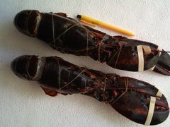 波士顿龙虾-广州花园酒店-凌璇阁360度高空海鲜自助餐CAROUSEL