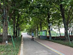 -顺峰山公园