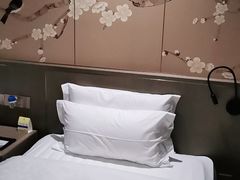 -山明水秀大饭店