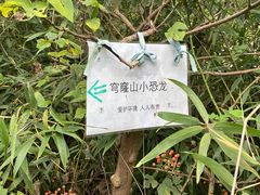-穹窿山景区