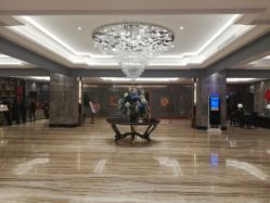 -瑞莱克斯大酒店（望江店）·宴会厅