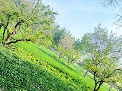 -汉长安城未央宫国家考古遗址公园