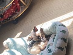 -拜鲁耶动物诊疗中心·宠家动物医院