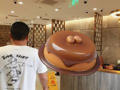 -海底捞火锅(龙岗星河COCO Park店)