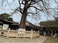 -常熟方塔园