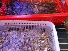 -喜宴又一村·粤菜·茶点·海鲜(壹方天地店)