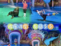 -烟台海昌鲸鲨海洋公园