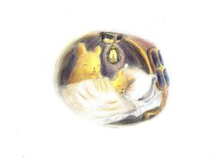 -青沐画室·专业美术培训
