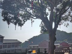 -石峰岩寺
