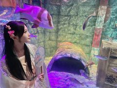 -沈阳海洋探索中心