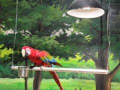-绿色星球动物主题公园