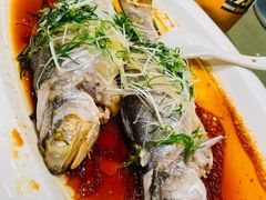 -大东海海鲜酒楼(渔人码头总店)